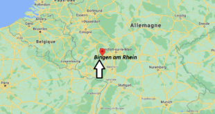 Où se trouve Bingen am Rhein