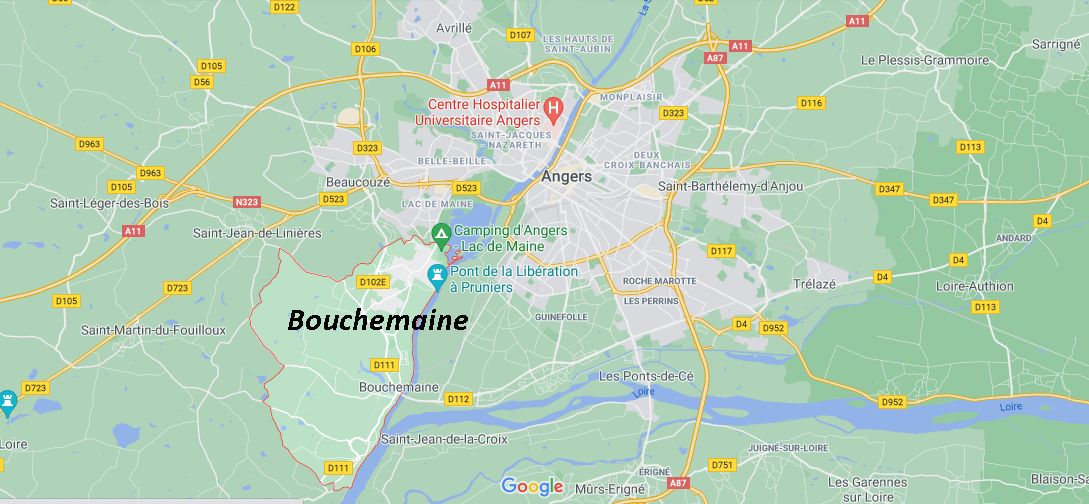 Où se situe Bouchemaine (49080)