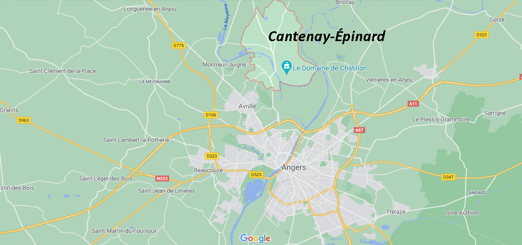 Où se situe Cantenay-Épinard (49460)