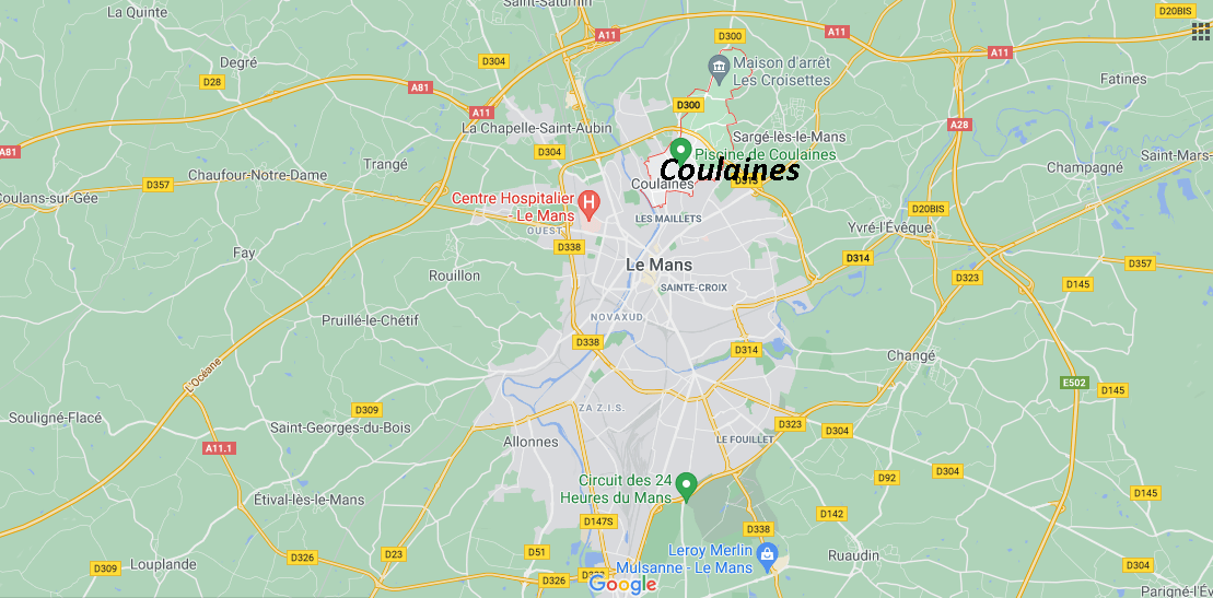 Où se situe Coulaines (72190)