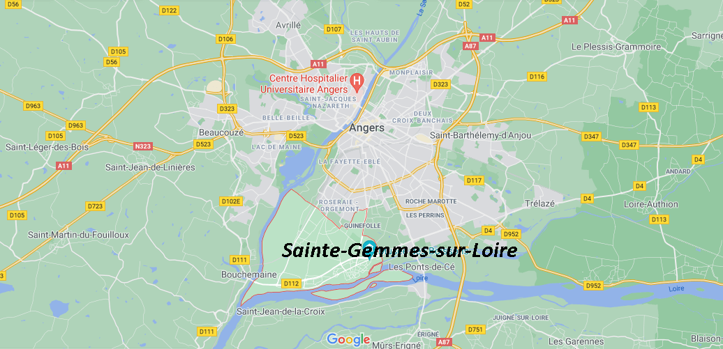 Où se situe Sainte-Gemmes-sur-Loire (49130)
