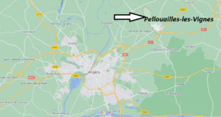 Où se trouve Pellouailles-les-Vignes