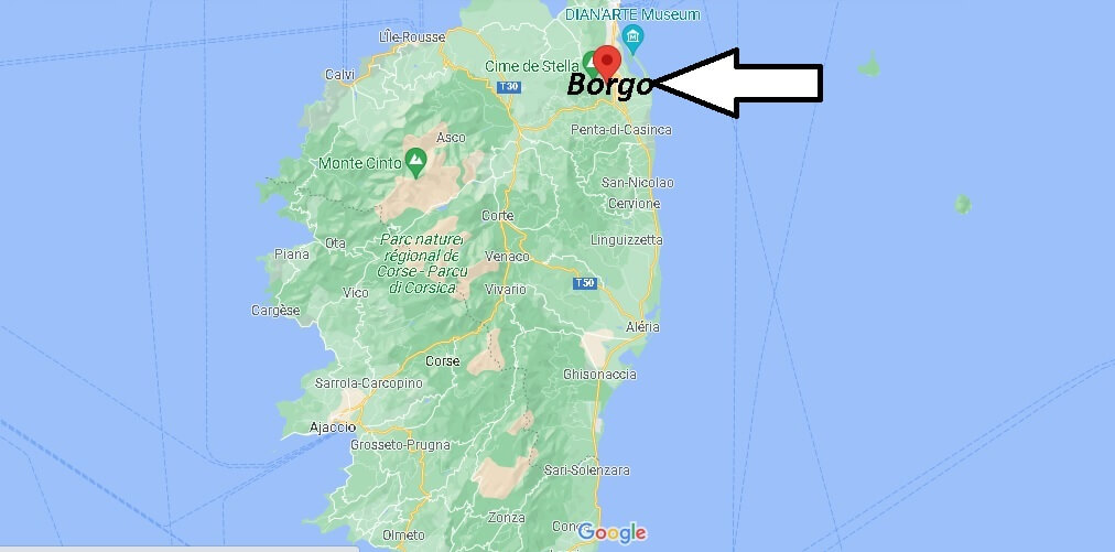Où se situe Borgo (Code postal 20290)