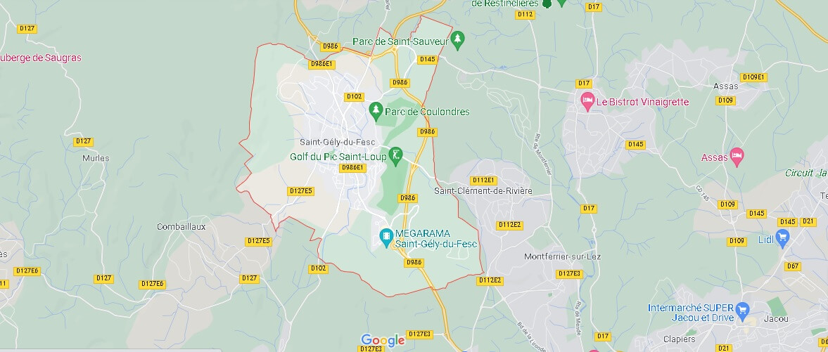 Carte Saint-Gély-du-Fesc