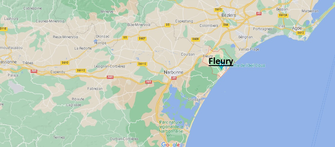Dans quelle région se trouve Fleury