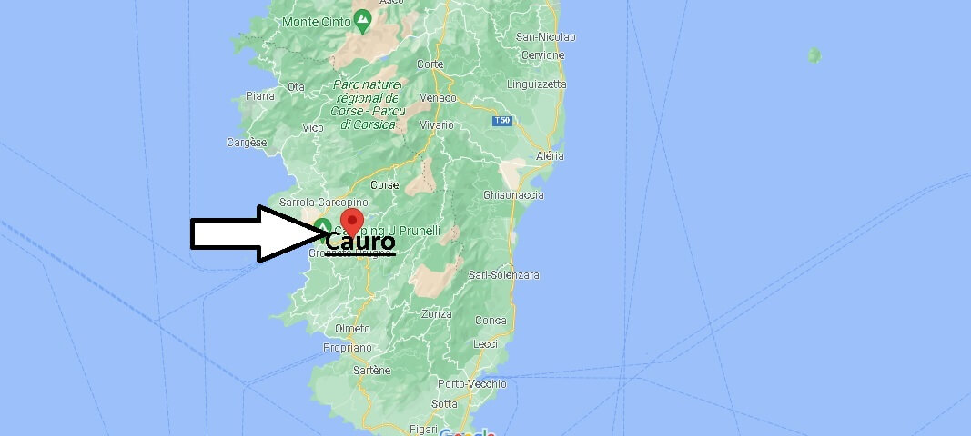Où se situe Cauro (Code postal 20117)
