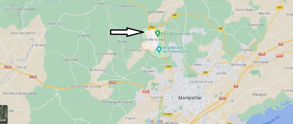 Où se situe Saint-Gély-du-Fesc (Code postal 34980)