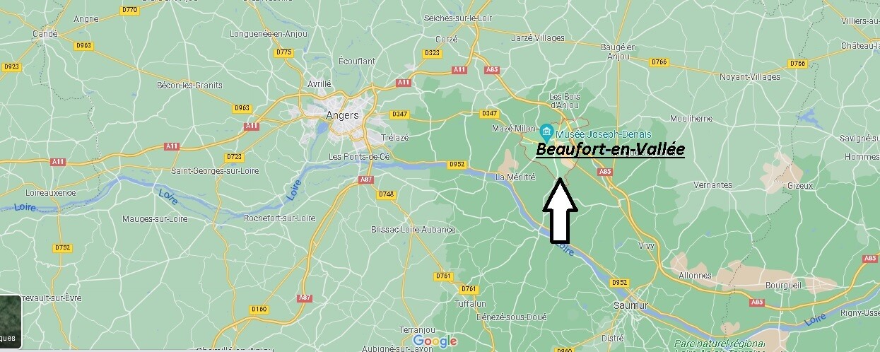 Où se situe Beaufort-en-Vallée (Code postal 49250)