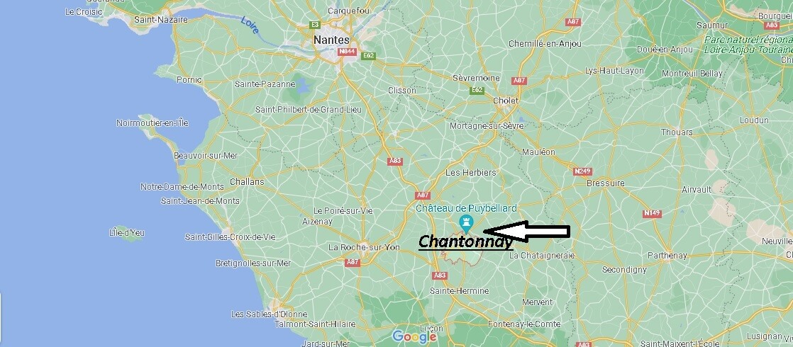Où se situe Chantonnay (Code postal 85110)