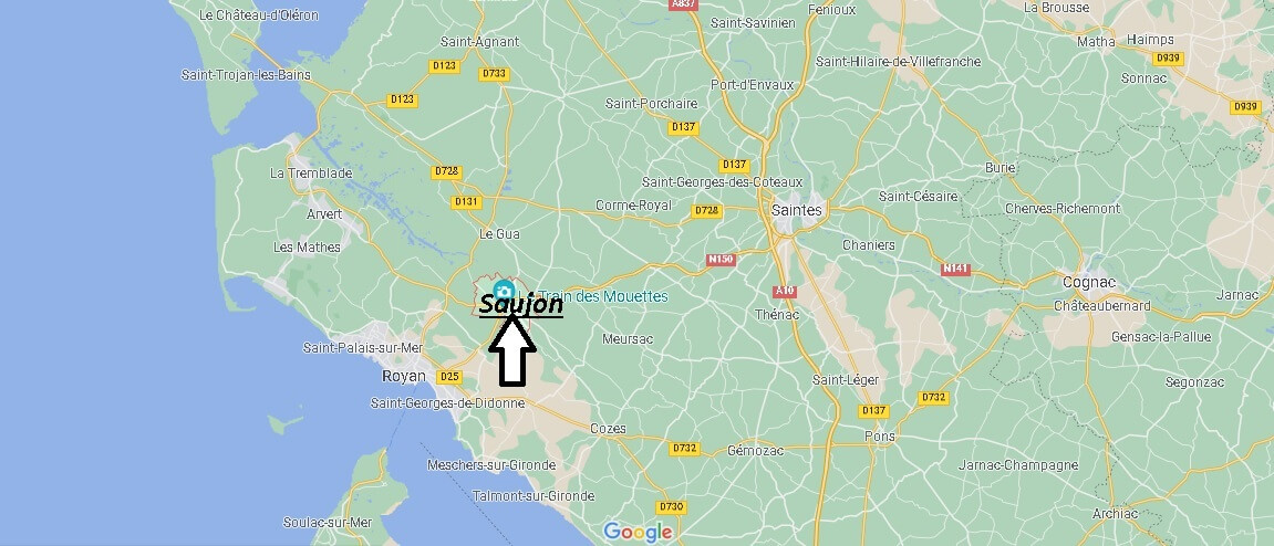 Où se situe Saujon (Code postal 17600)