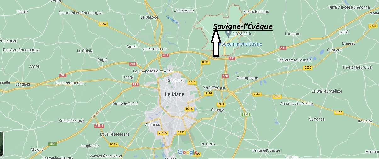 Où se situe Savigné-l'Évêque (Code postal 72460)