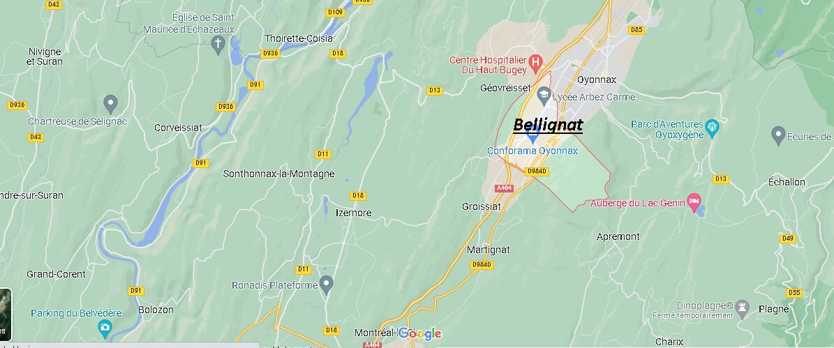 Où se situe Bellignat (01810)