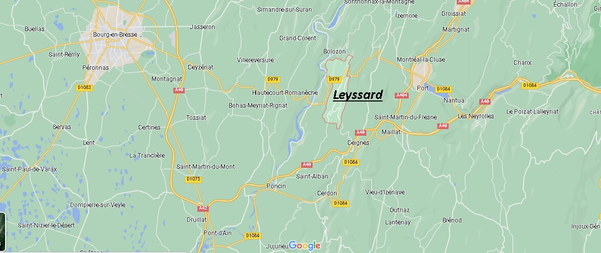 Où se situe Leyssard (01450)