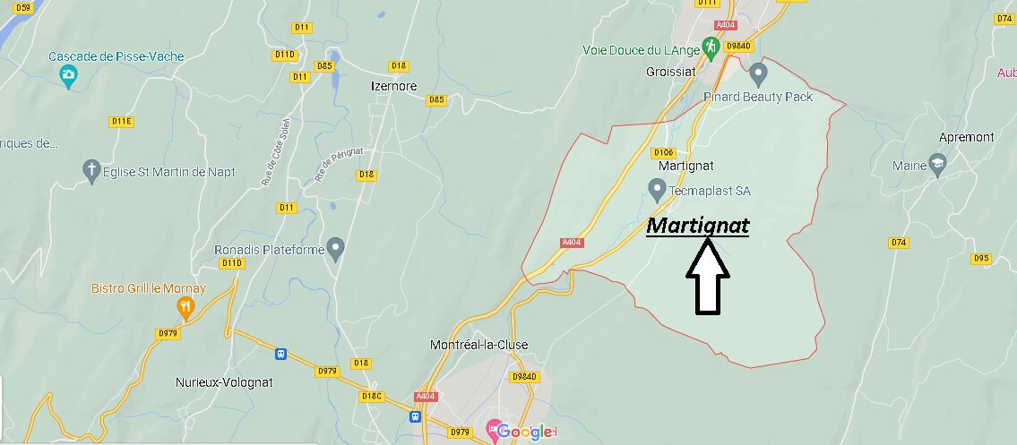 Où se situe Martignat (01810)