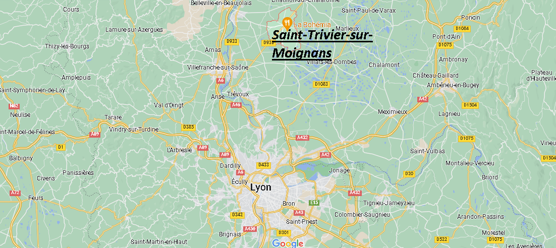 Où se situe Saint-Trivier-sur-Moignans (01990)