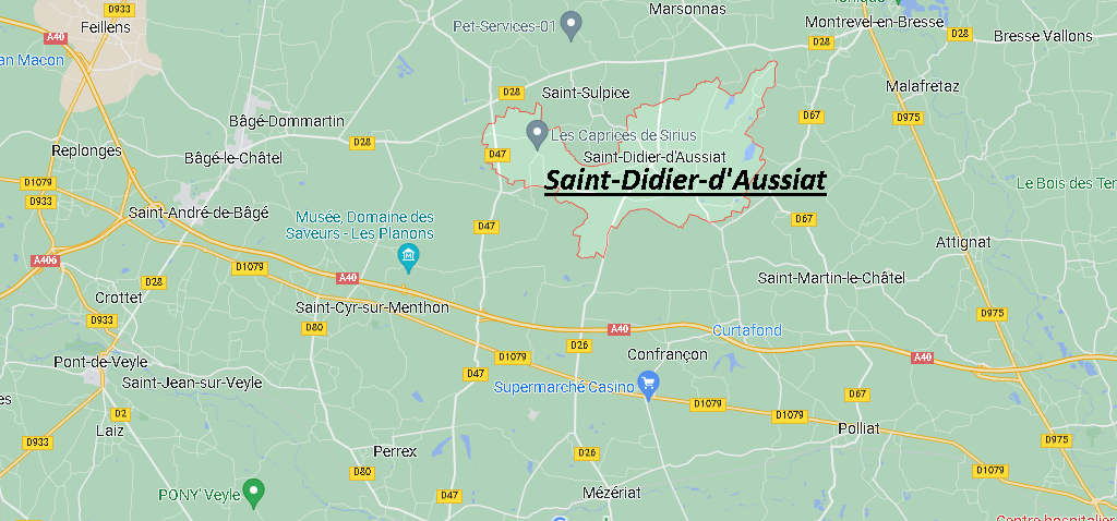 Saint-Didier-d'Aussiat