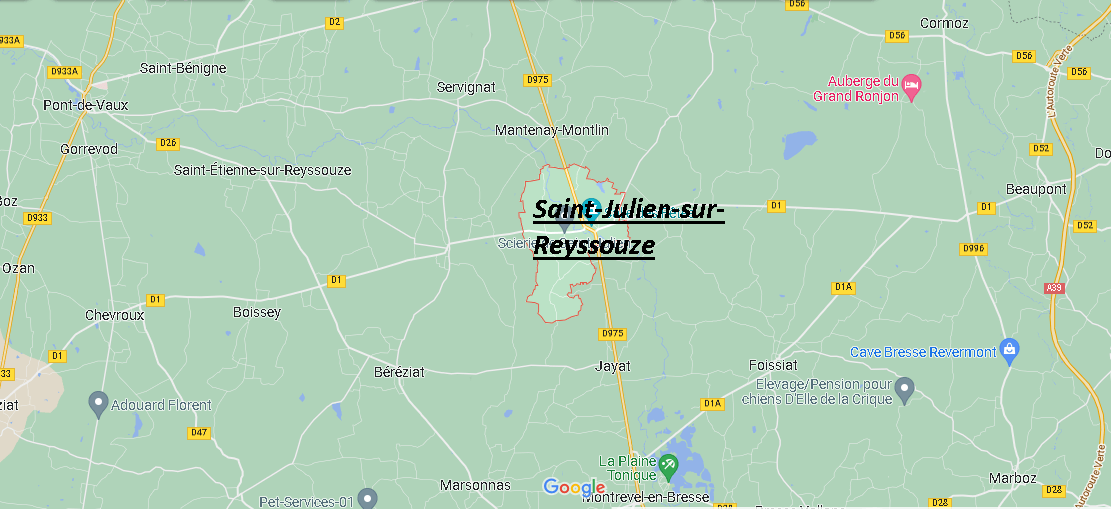 Saint-Julien-sur-Reyssouze