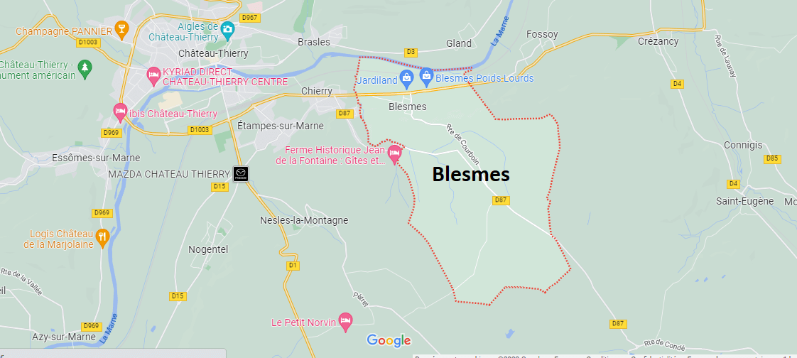 Blesmes