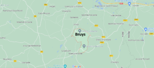 Bruys