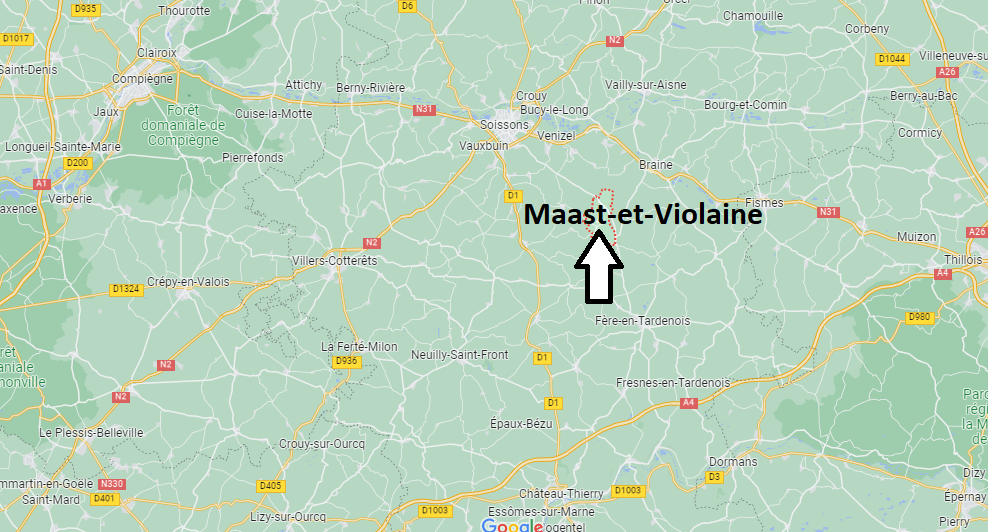 Où se situe Maast-et-Violaine (02220)
