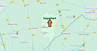 Sequehart